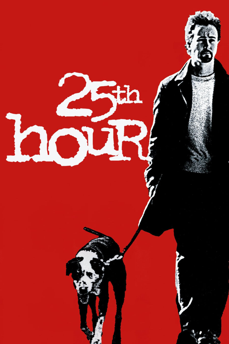 Hình ảnh phim 25th Hour