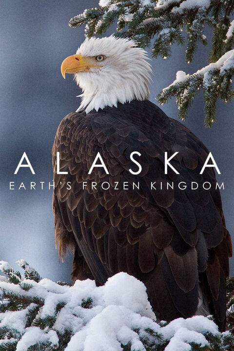 Hình ảnh tập 2 Alaska: Vương Quốc Băng Giá