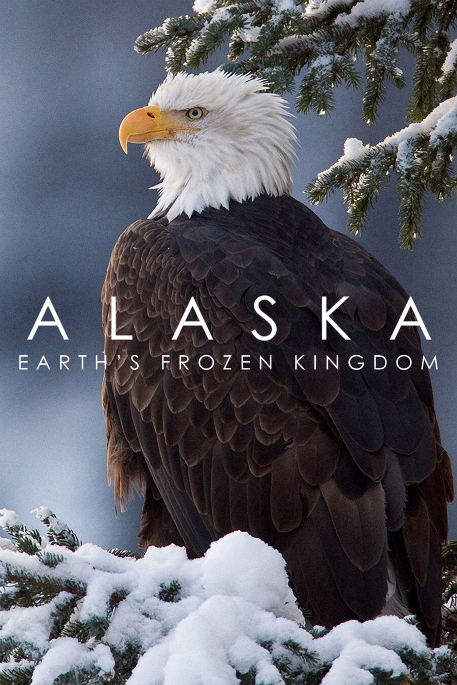 Hình ảnh phim Alaska: Vương Quốc Băng Giá