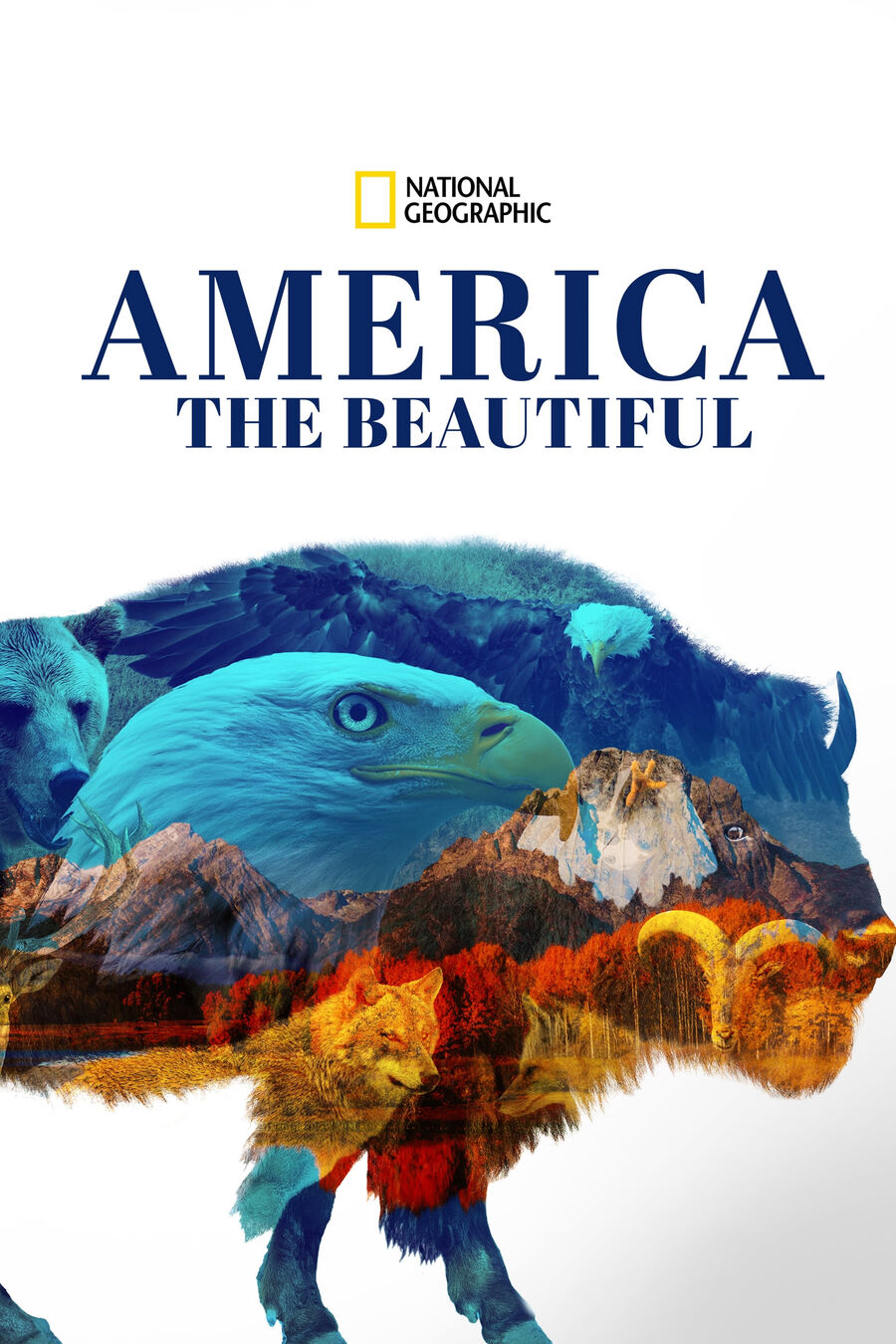 Hình ảnh phim America the Beautiful