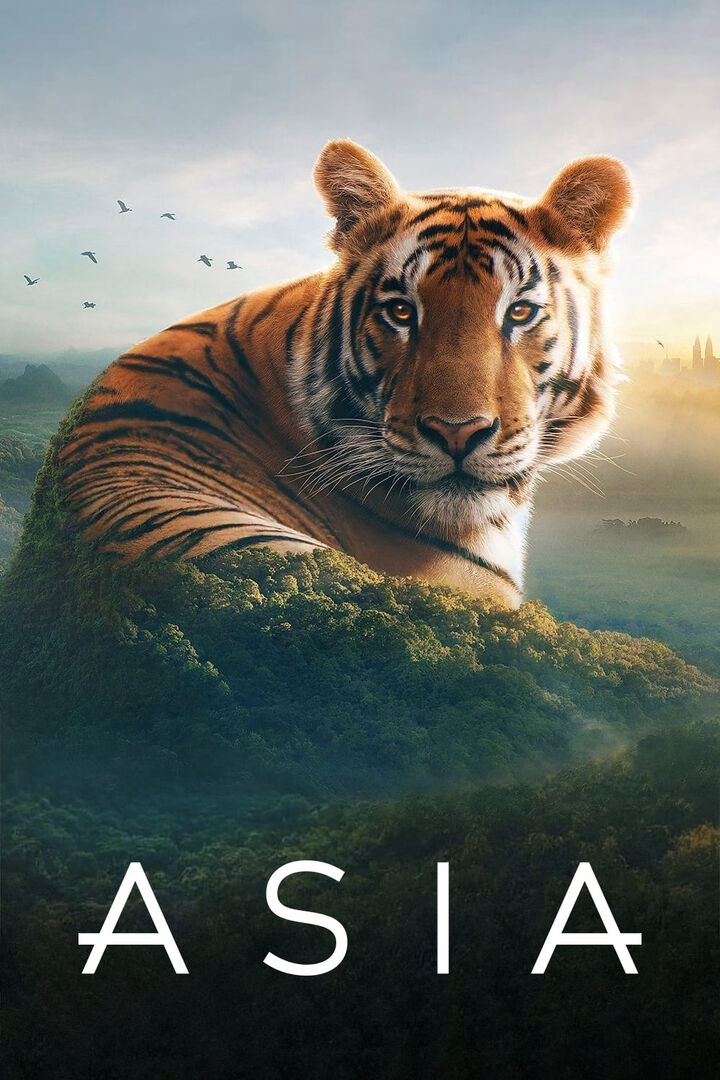 Tập 1 phim Asia