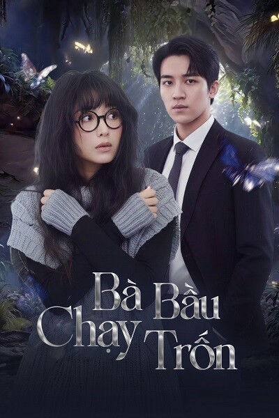 Hình ảnh phim Bà Bầu Chạy Trốn