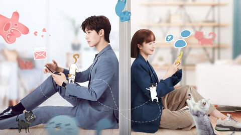 Hình ảnh tập 1 Bất Cẩn Meow Phải Anh