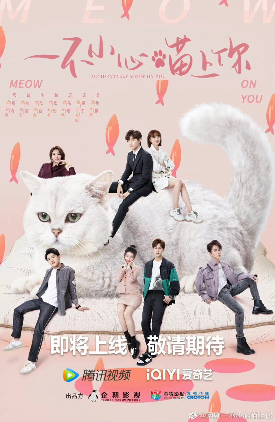 Hình ảnh phim Bất Cẩn Meow Phải Anh