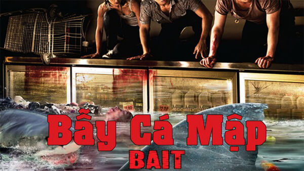 Poster phim Bẫy Cá Mập