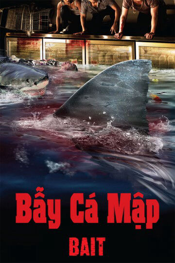 Hình ảnh phim Bẫy Cá Mập