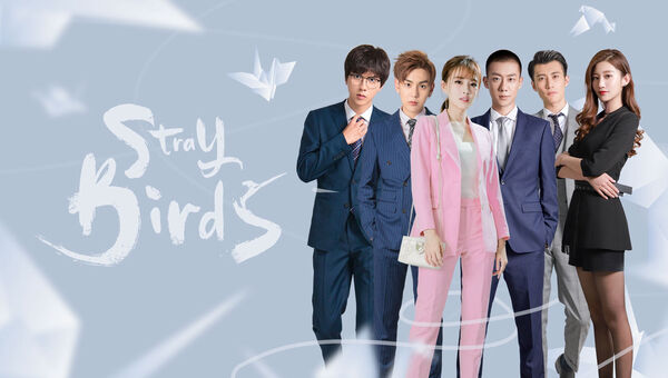 Poster phim Bầy Chim Lạc