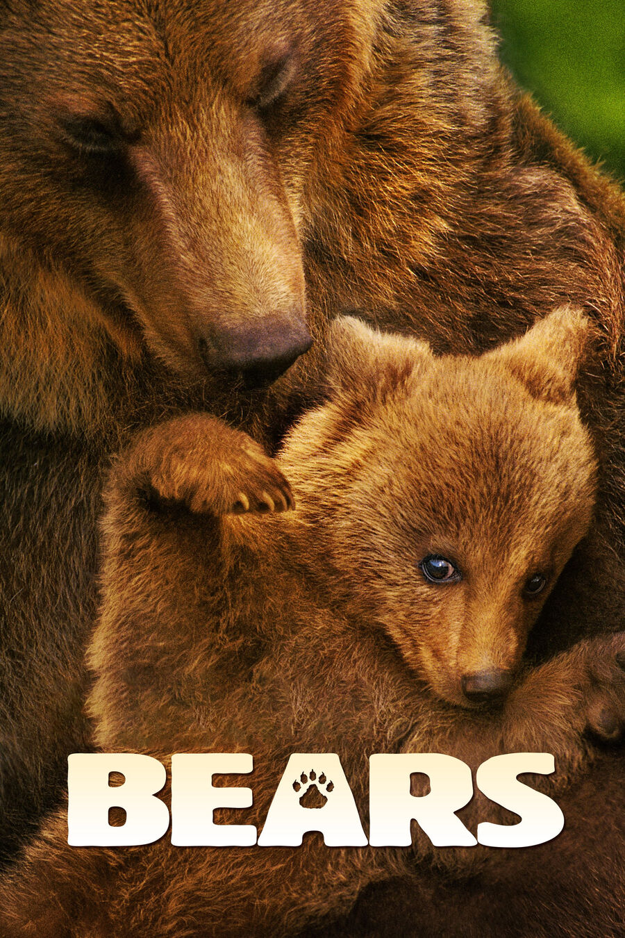 Hình ảnh phim Bears