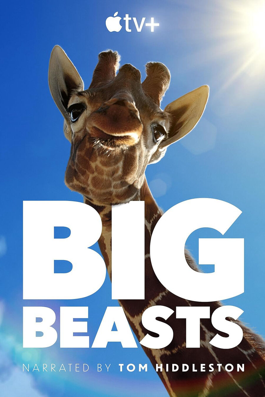 Hình ảnh phim Big Beasts