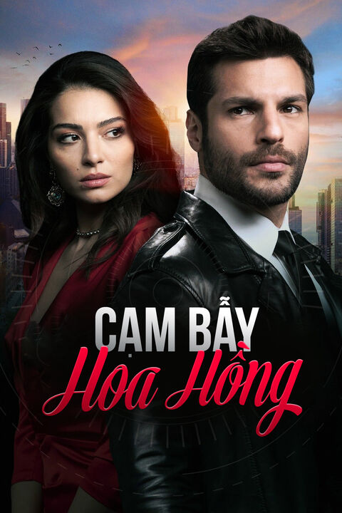 Hình ảnh tập 2 Cạm Bẫy Hoa Hồng