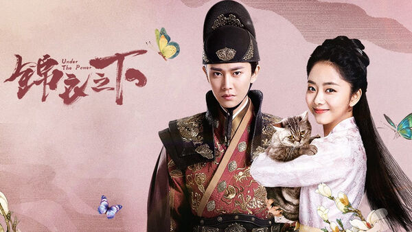Poster phim Cẩm Y Chi Hạ
