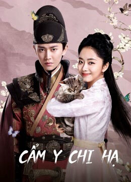 Hình ảnh phim Cẩm Y Chi Hạ