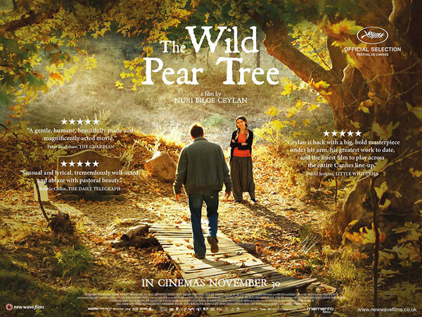 Poster phim Cây Lê Dại