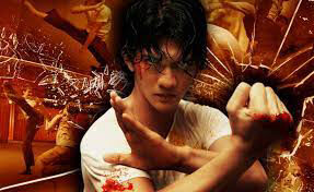 Poster phim Chiến Binh Merantau