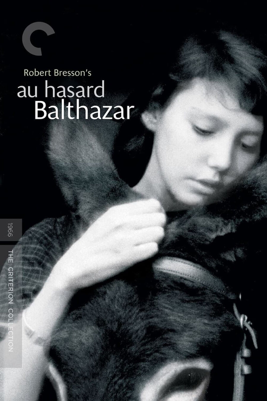 Hình ảnh phim Chú Lừa Balthazar
