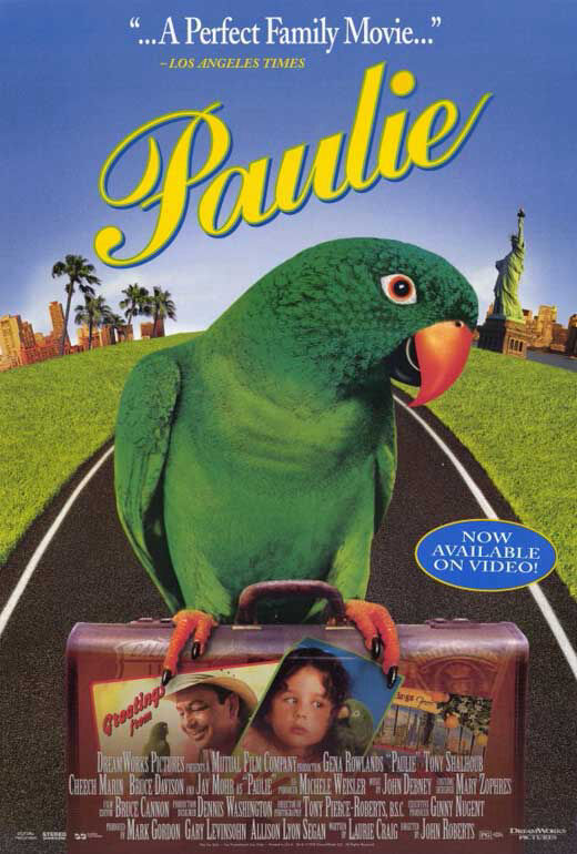 Hình ảnh phim Chú Vẹt Paulie
