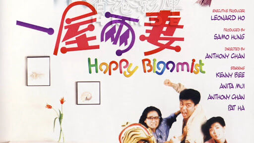 Poster phim Chúc mừng Bigamist