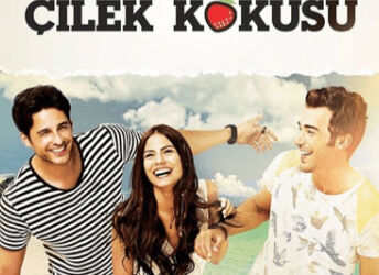 Poster phim Cilek Kokusu