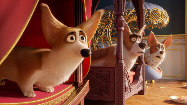 Poster phim Corgi: Những chú chó hoàng gia