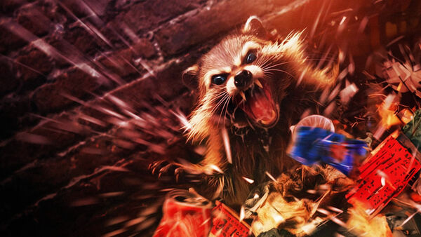 Poster phim Crackcoon