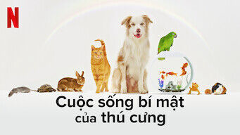 Poster phim Cuộc sống bí mật của thú cưng