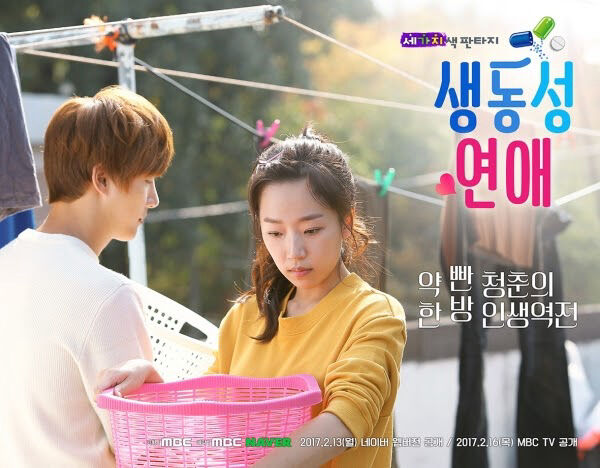 Poster phim Cuộc Sống Lãng Mạn