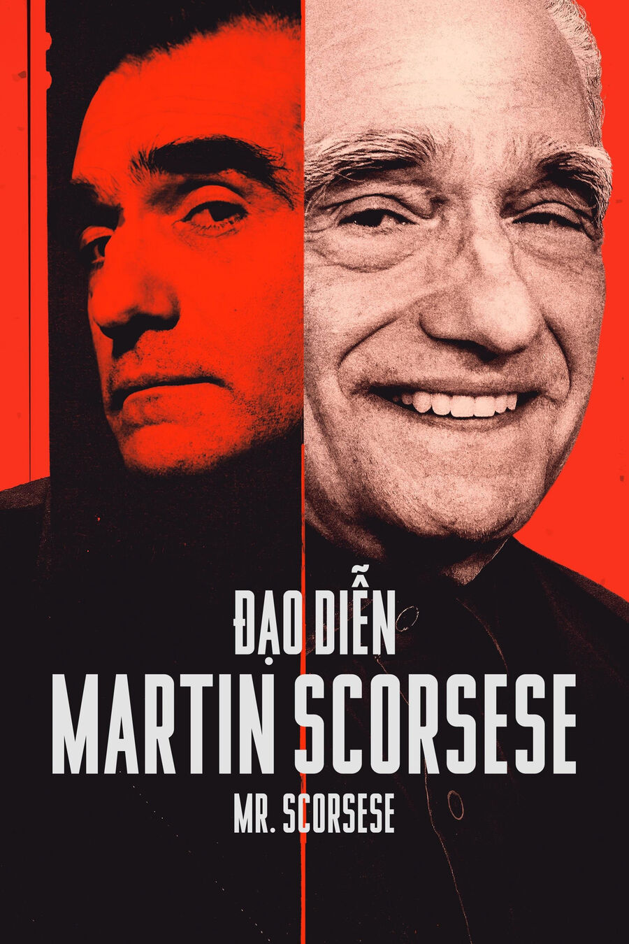 Hình ảnh phim Đạo Diễn Martin Scorsese