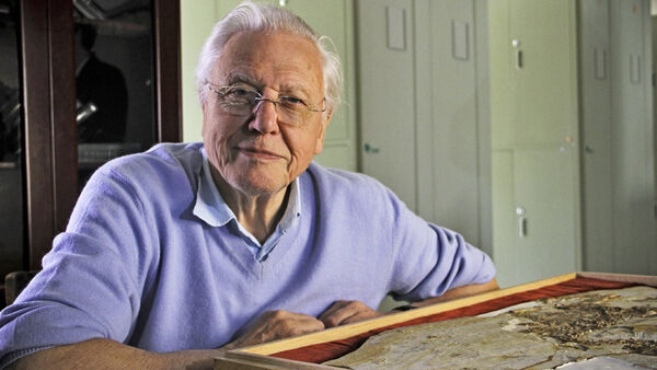 David Attenborough's Rise of Animals: Triumph of the Vertebrates 7 Poster phim David Attenborough’s Rise of Animals: Triumph of the Vertebrates