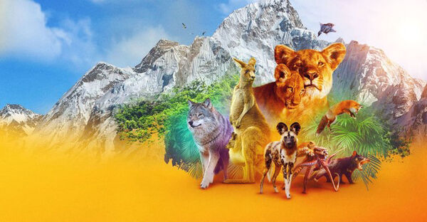 Poster phim Động vật (Phần 1)