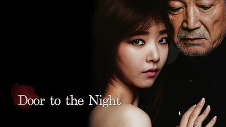 Poster phim Door to the Night