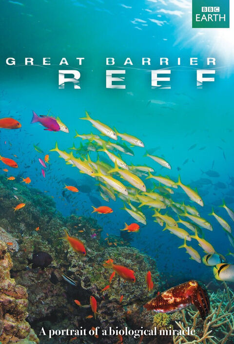 Hình ảnh tập 2 Great Barrier Reef