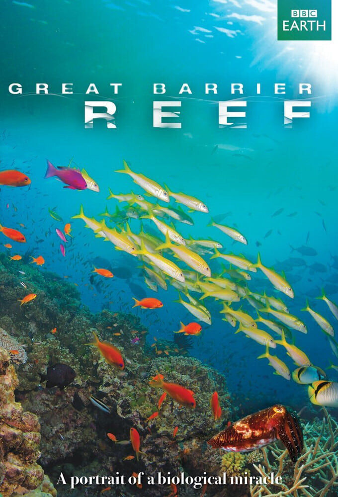 Hình ảnh phim Great Barrier Reef