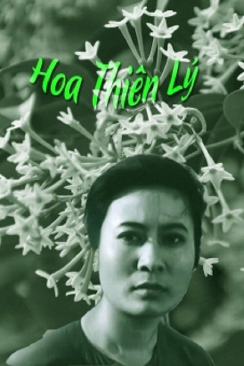Hình ảnh phim Hoa Thiên Lý