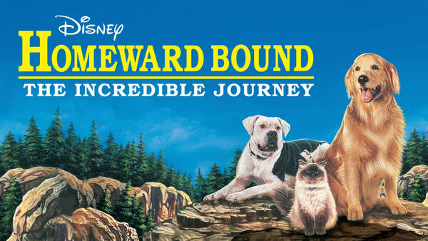 Poster phim Homeward Bound: The Incredible Journey