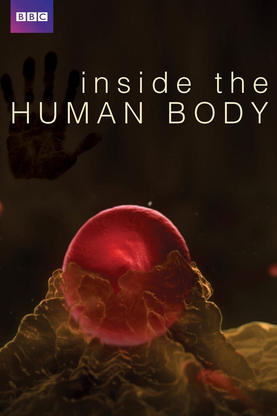 Hình ảnh phim Inside the Human Body