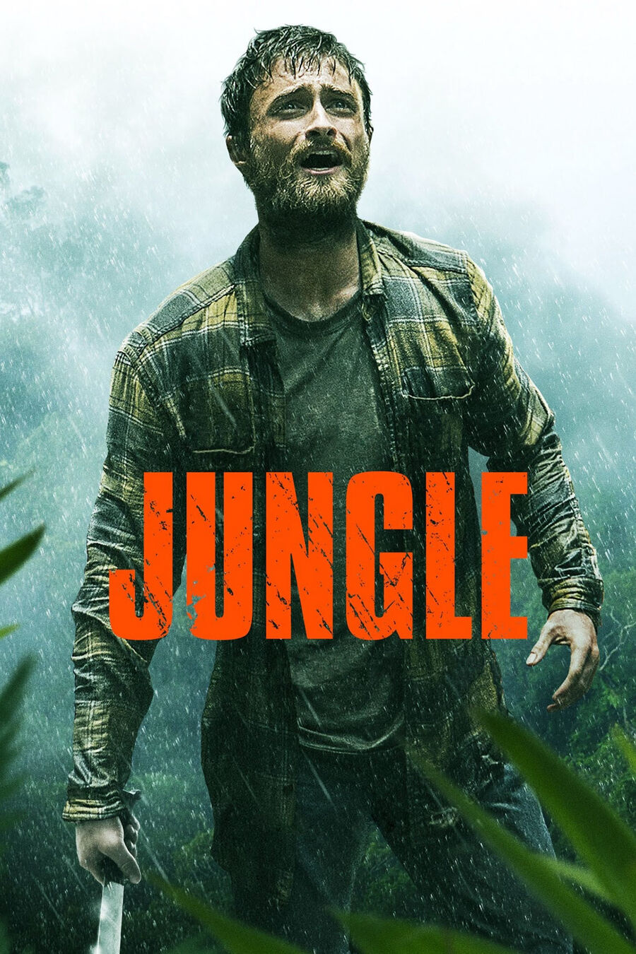 Hình ảnh phim Jungle