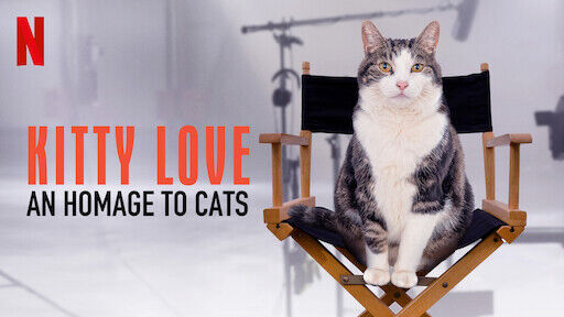 Poster phim Kitty Love: Mèo cưng nhà mình