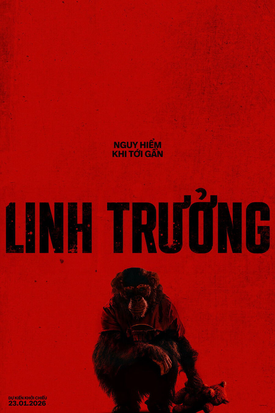 Hình ảnh phim Linh Trưởng