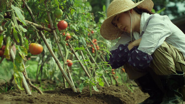 Poster phim Little Forest: Summer/Autumn