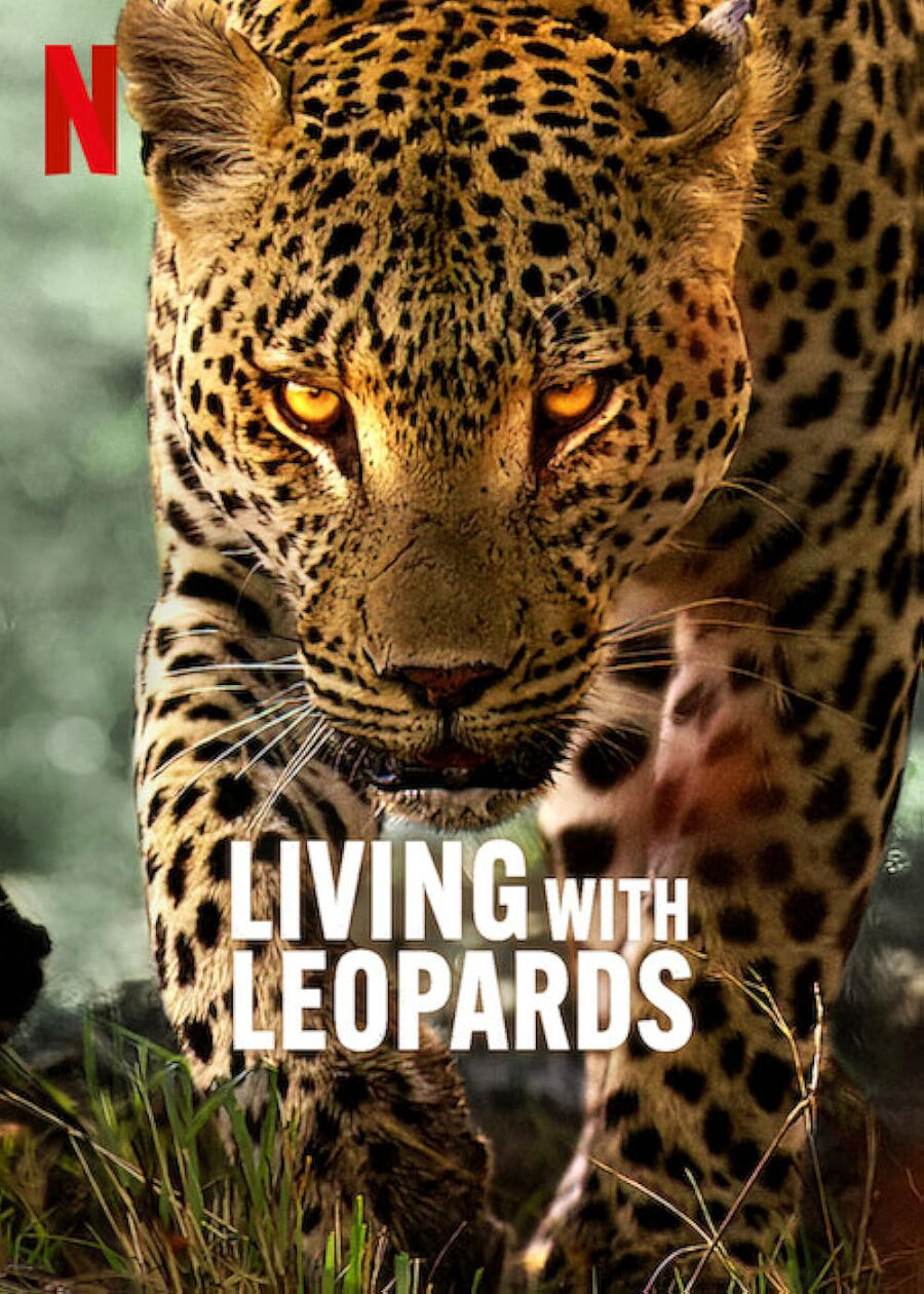 Hình ảnh phim Living with Leopards