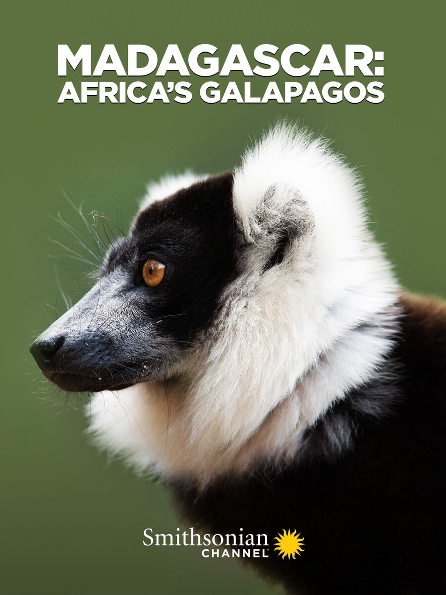 Hình ảnh phim Madagascar: Africa’s Galapagos