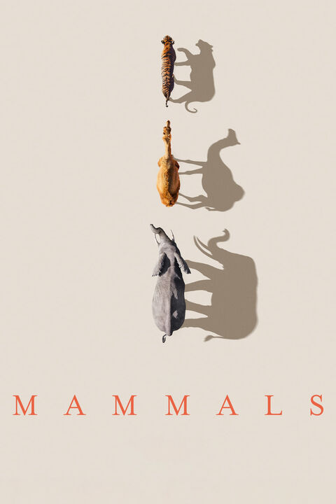 Hình ảnh tập 2 Mammals (2024)
