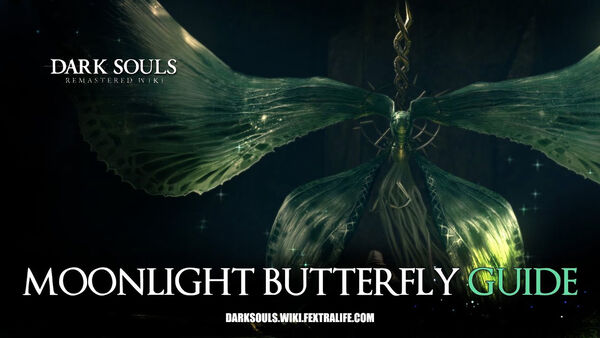 Poster phim Moonlight Butterfly