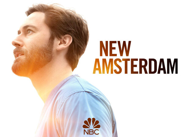 Poster phim New Amsterdam (Phần 3)
