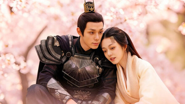 Poster phim Ngã Đích Song Diện Phu Quân