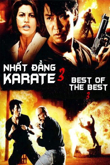 Hình ảnh phim Nhất Đẳng Karate 3