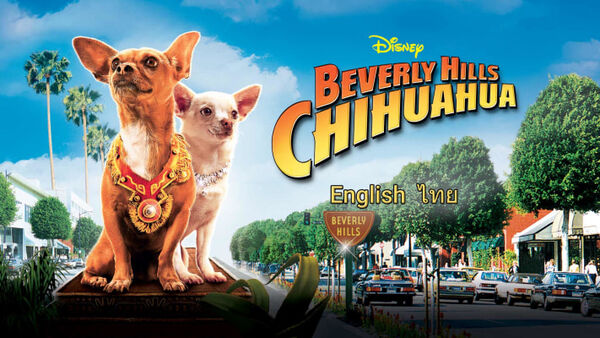 Poster phim Những Chú Chó Chihuahua