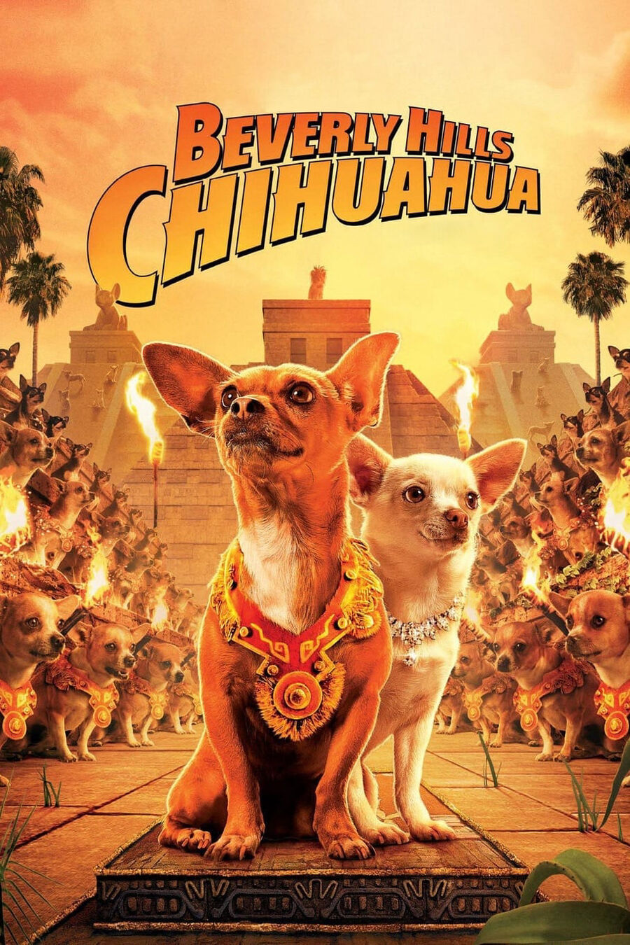Hình ảnh phim Những Chú Chó Chihuahua