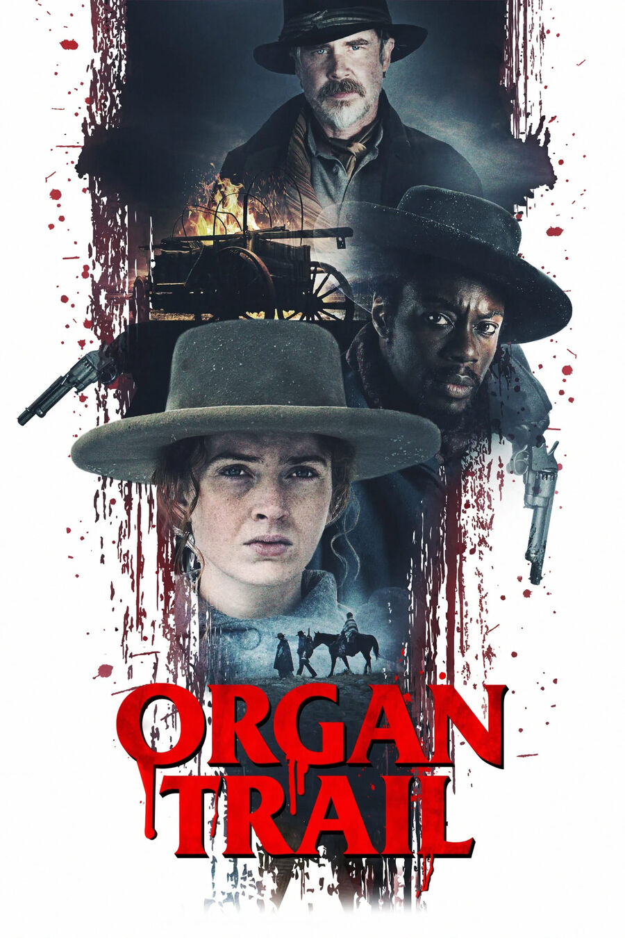 Hình ảnh phim Đường Mòn Organ