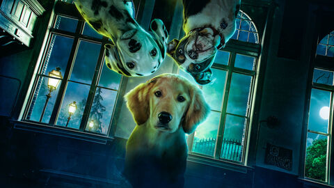 Hình ảnh tập 1 Phantom Pups (Phần 1)